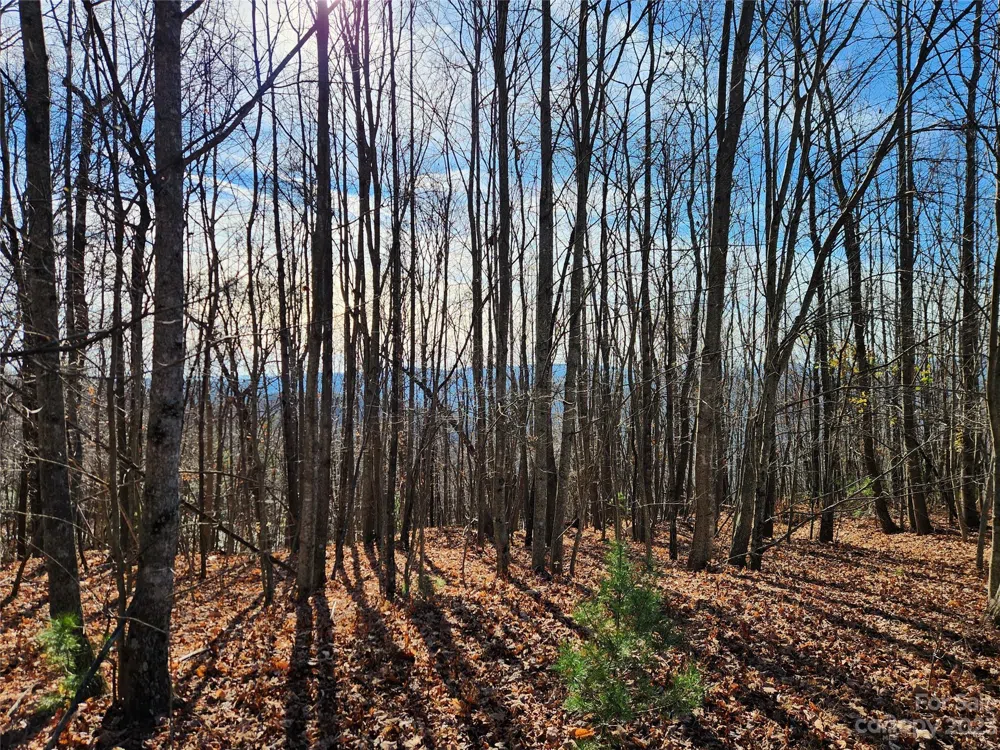 6900 Mertie Road Millers Creek, NC 28651