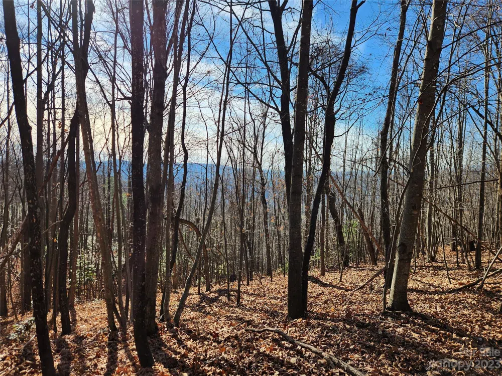 6900 Mertie Road Millers Creek, NC 28651