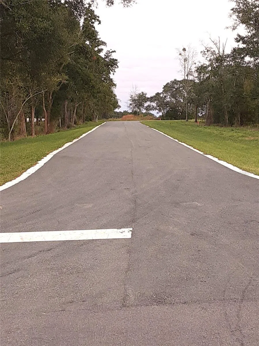 5507 PANORAMIC VIEW DRIVE Apopka, FL 32712