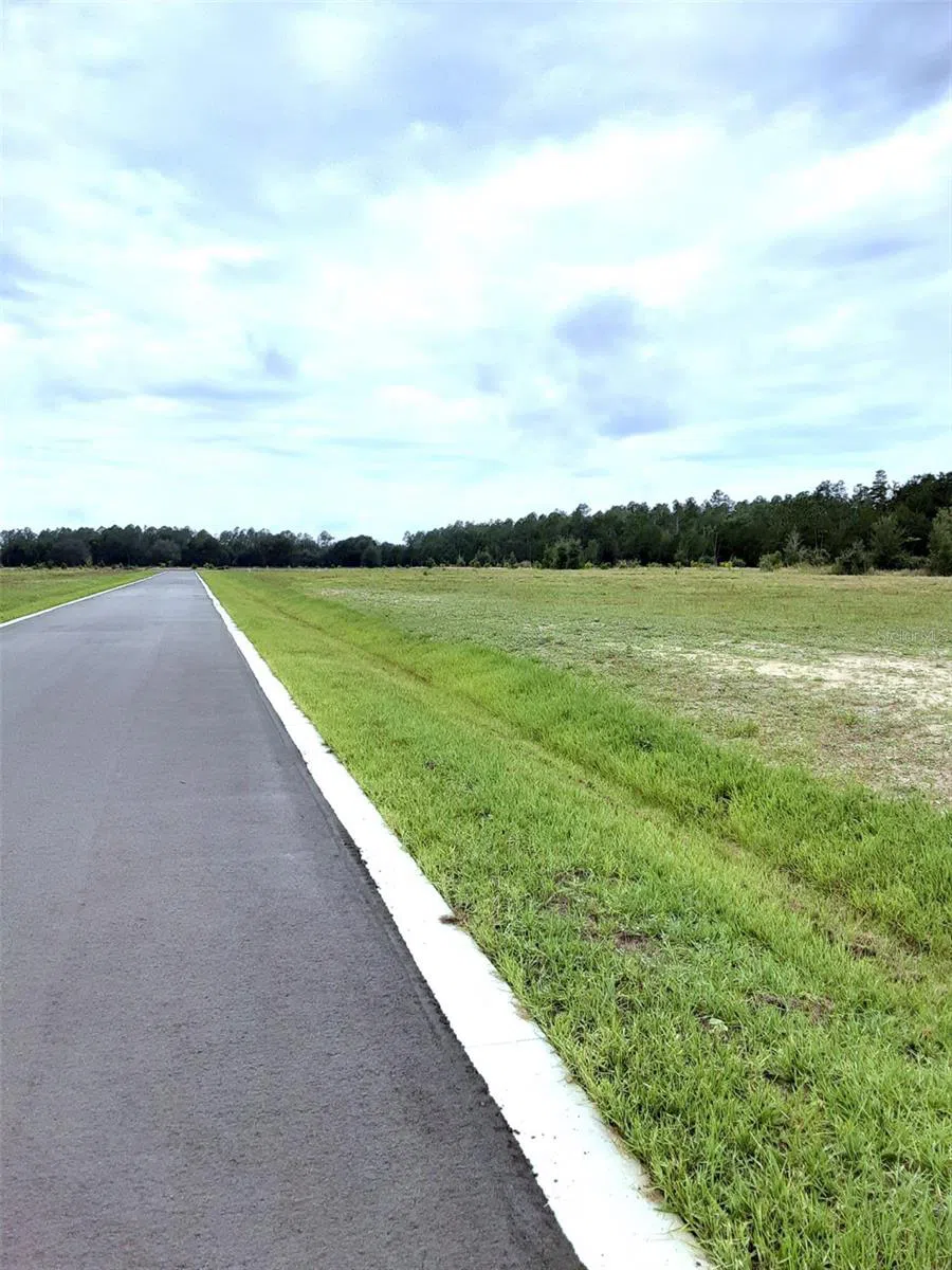 5536 PANORAMIC VIEW DRIVE Apopka, FL 32712