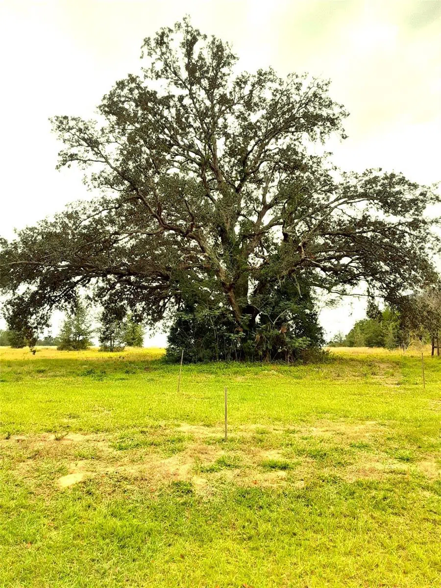 5542 PANORAMIC VIEW DRIVE Apopka, FL 32712