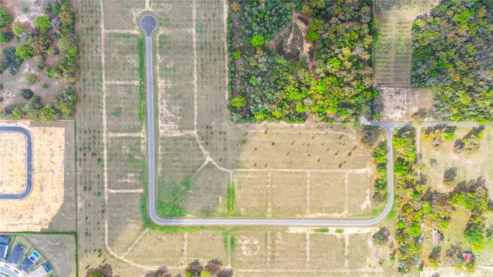 5542 PANORAMIC VIEW DRIVE Apopka, FL 32712