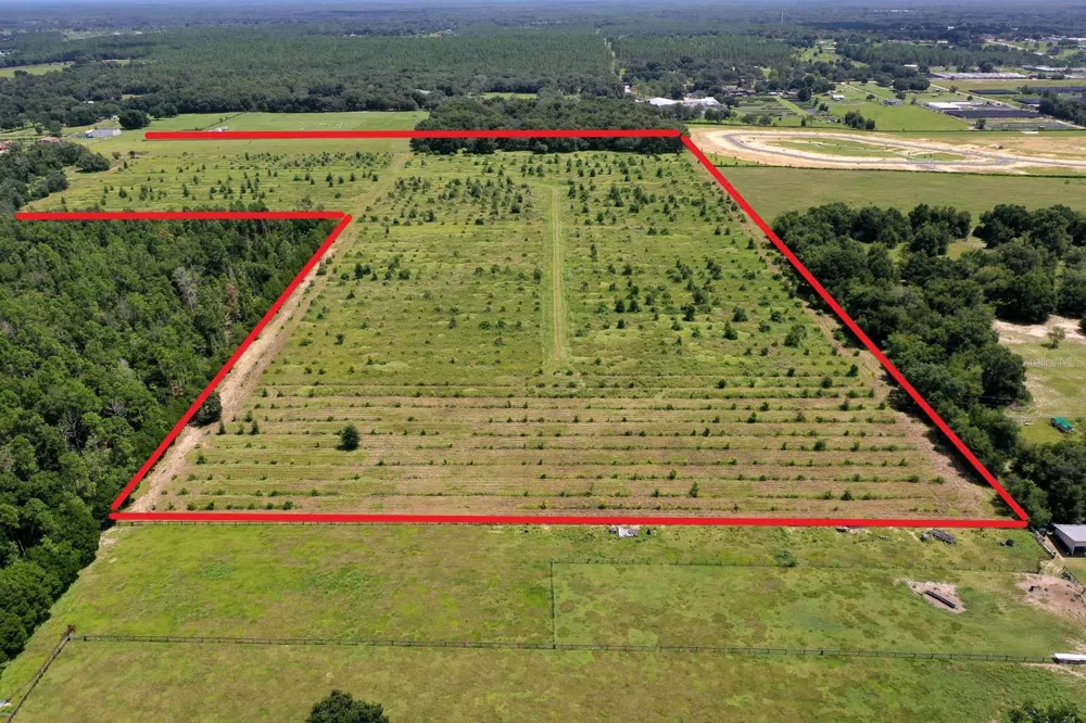 5560 PANORAMIC VIEW DRIVE Apopka, FL 32712