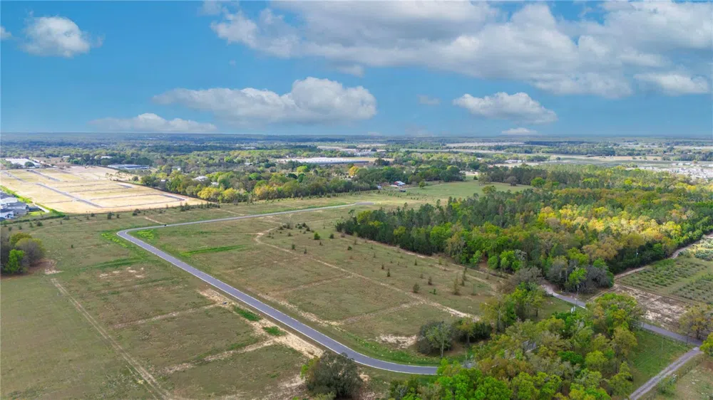 5548 PANORAMIC VIEW DRIVE Apopka, FL 32712