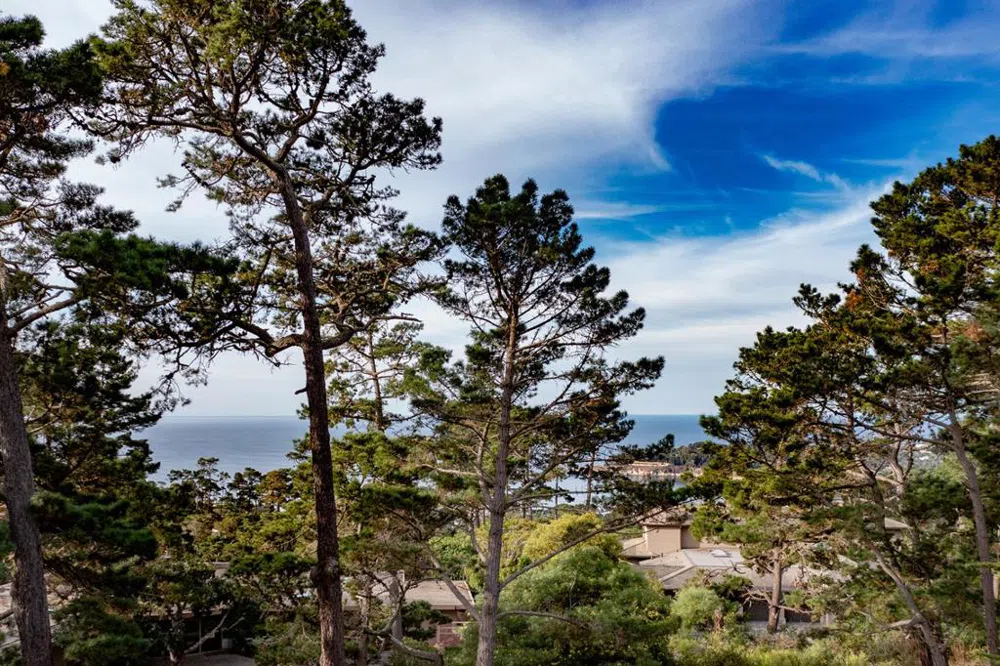 1634 Sonado Road Pebble Beach, CA 93953