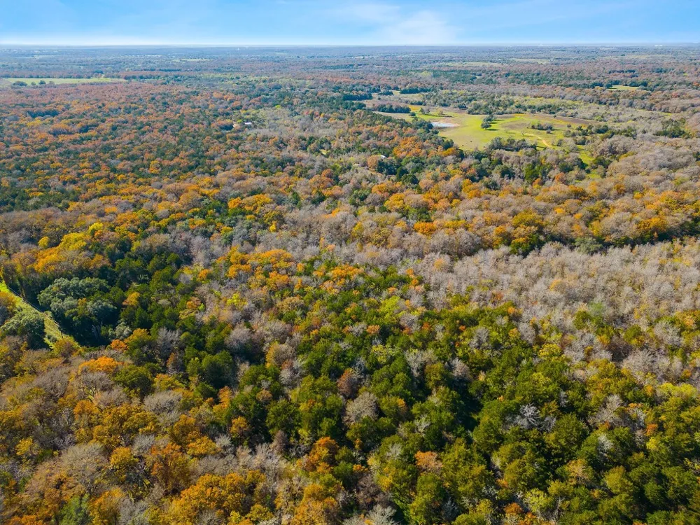 272 Deadwood Road Cedar Creek, TX 78621