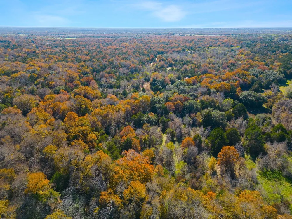 272 Deadwood Road Cedar Creek, TX 78621
