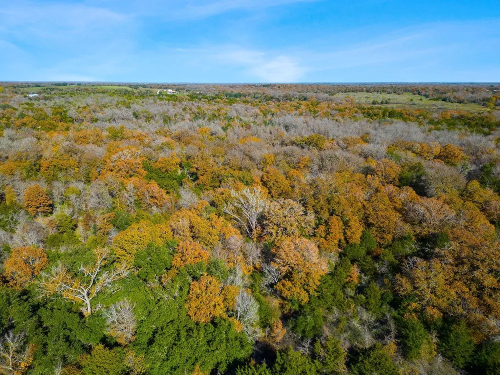 272 Deadwood Road Cedar Creek, TX 78621