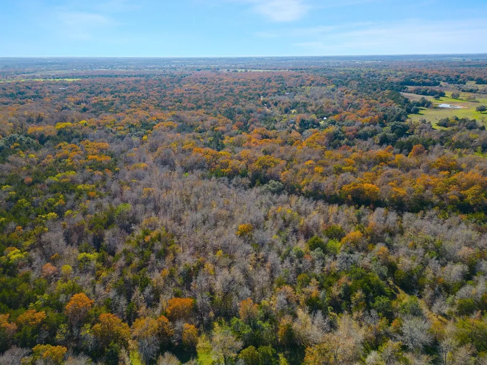 272 Deadwood Road Cedar Creek, TX 78621