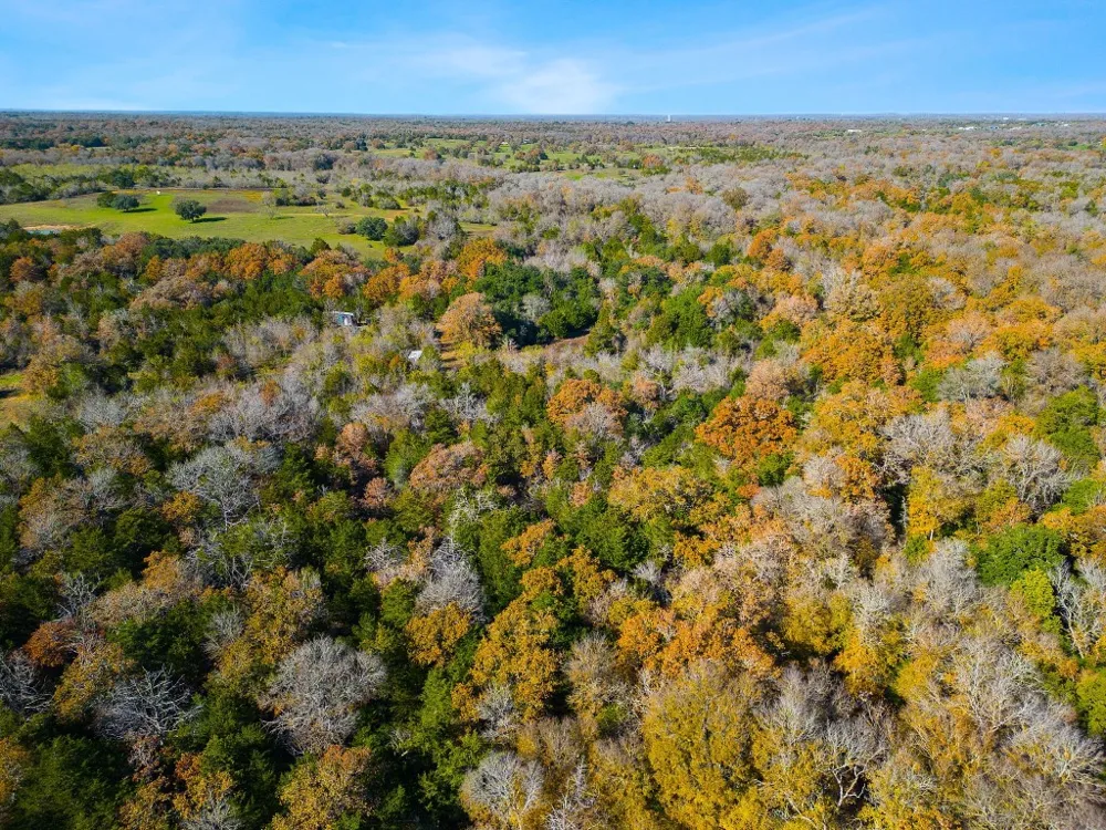 272 Deadwood Road Cedar Creek, TX 78621