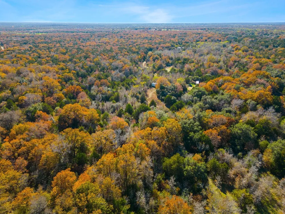 272 Deadwood Road Cedar Creek, TX 78621