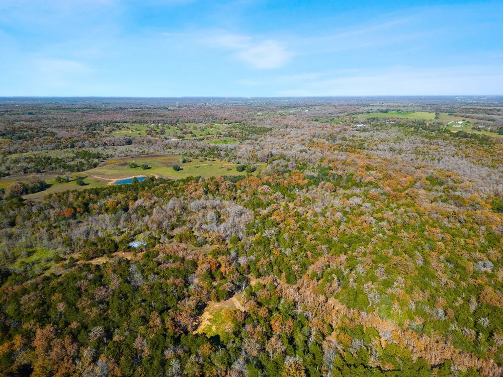 272 Deadwood Road Cedar Creek, TX 78621