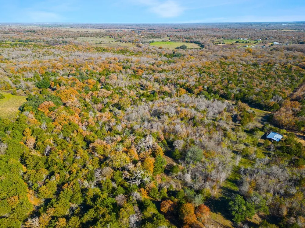 272 Deadwood Road Cedar Creek, TX 78621