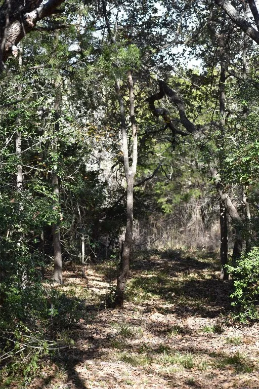 272 Deadwood Road Cedar Creek, TX 78621