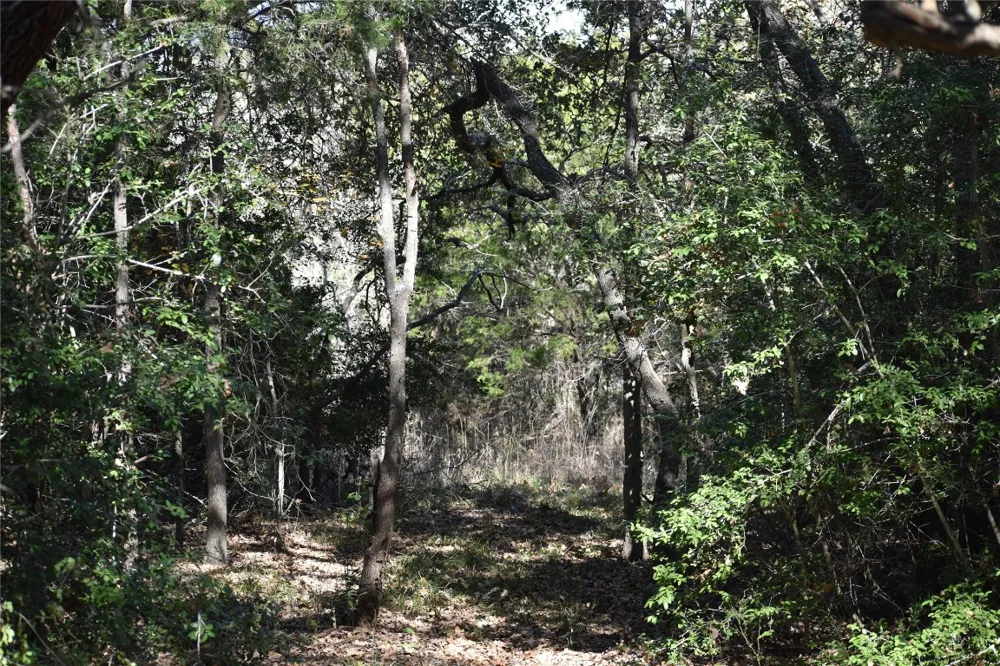 272 Deadwood Road Cedar Creek, TX 78621