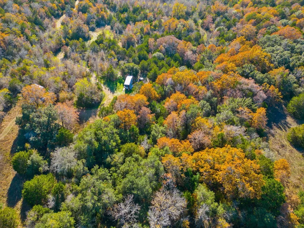 272 Deadwood Road Cedar Creek, TX 78621