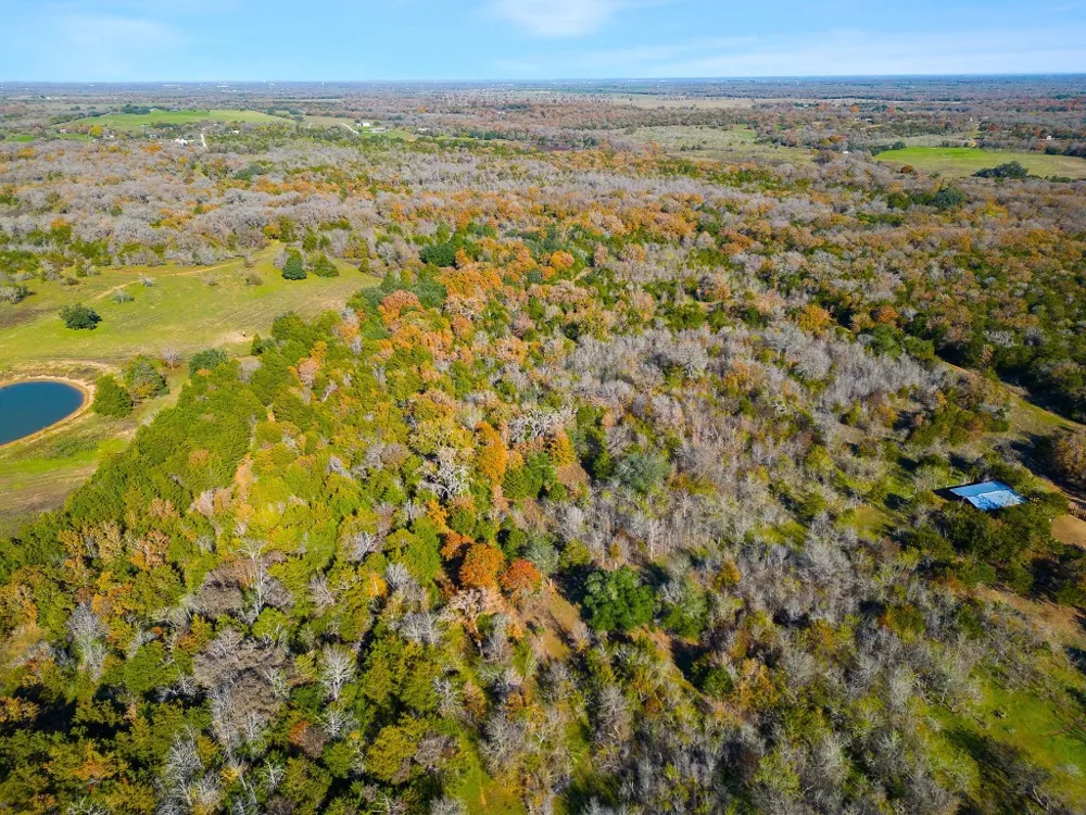 272 Deadwood Road Cedar Creek, TX 78621