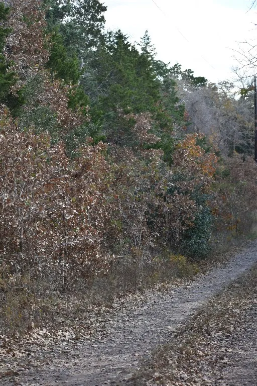 272 Deadwood Road Cedar Creek, TX 78621