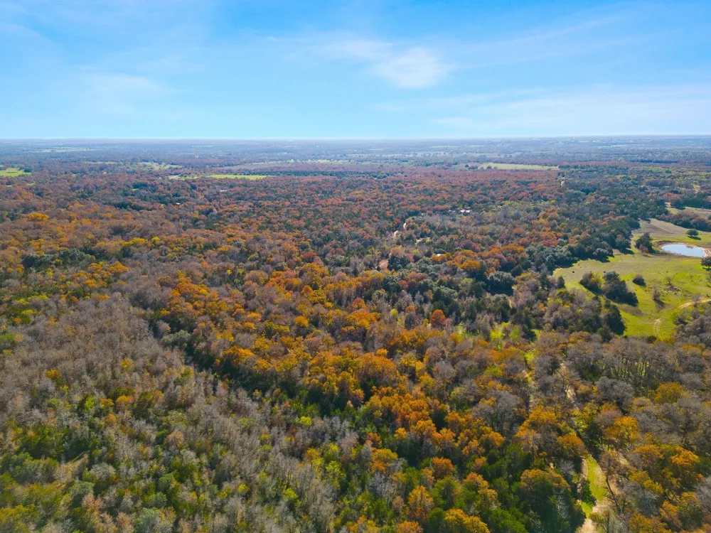 272 Deadwood Road Cedar Creek, TX 78621