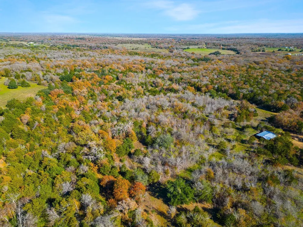 272 Deadwood Road Cedar Creek, TX 78621