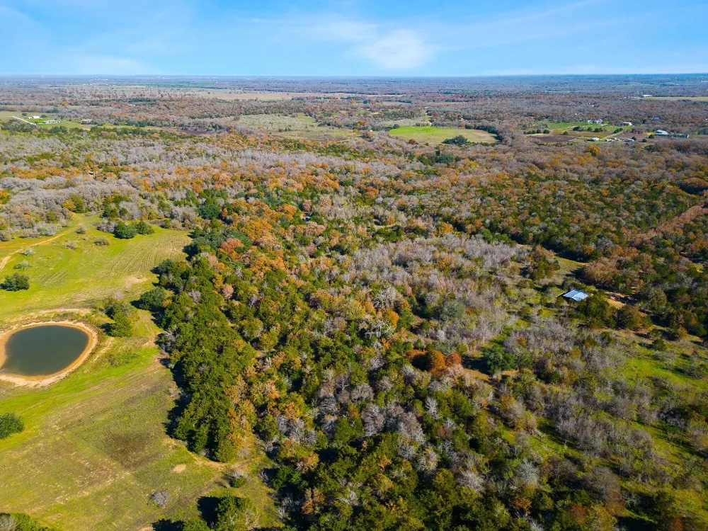 272 Deadwood Road Cedar Creek, TX 78621
