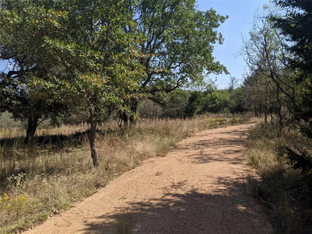 272 Deadwood Road Cedar Creek, TX 78621