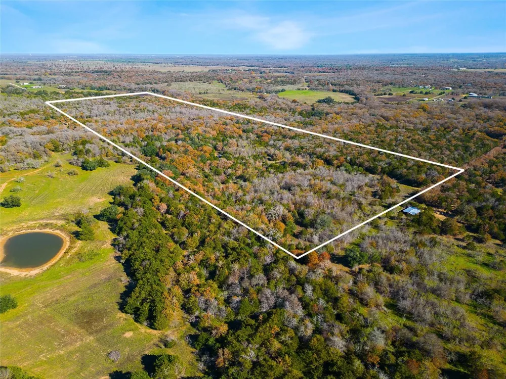272 Deadwood Road Cedar Creek, TX 78621