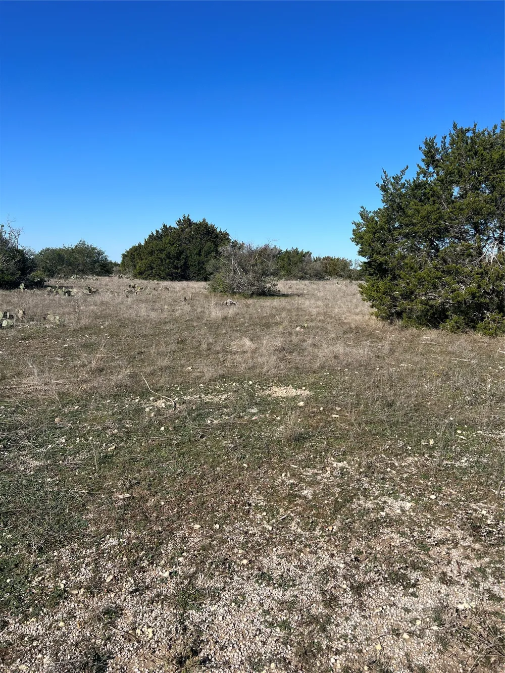 138 High Point Drive Kempner, TX 76539