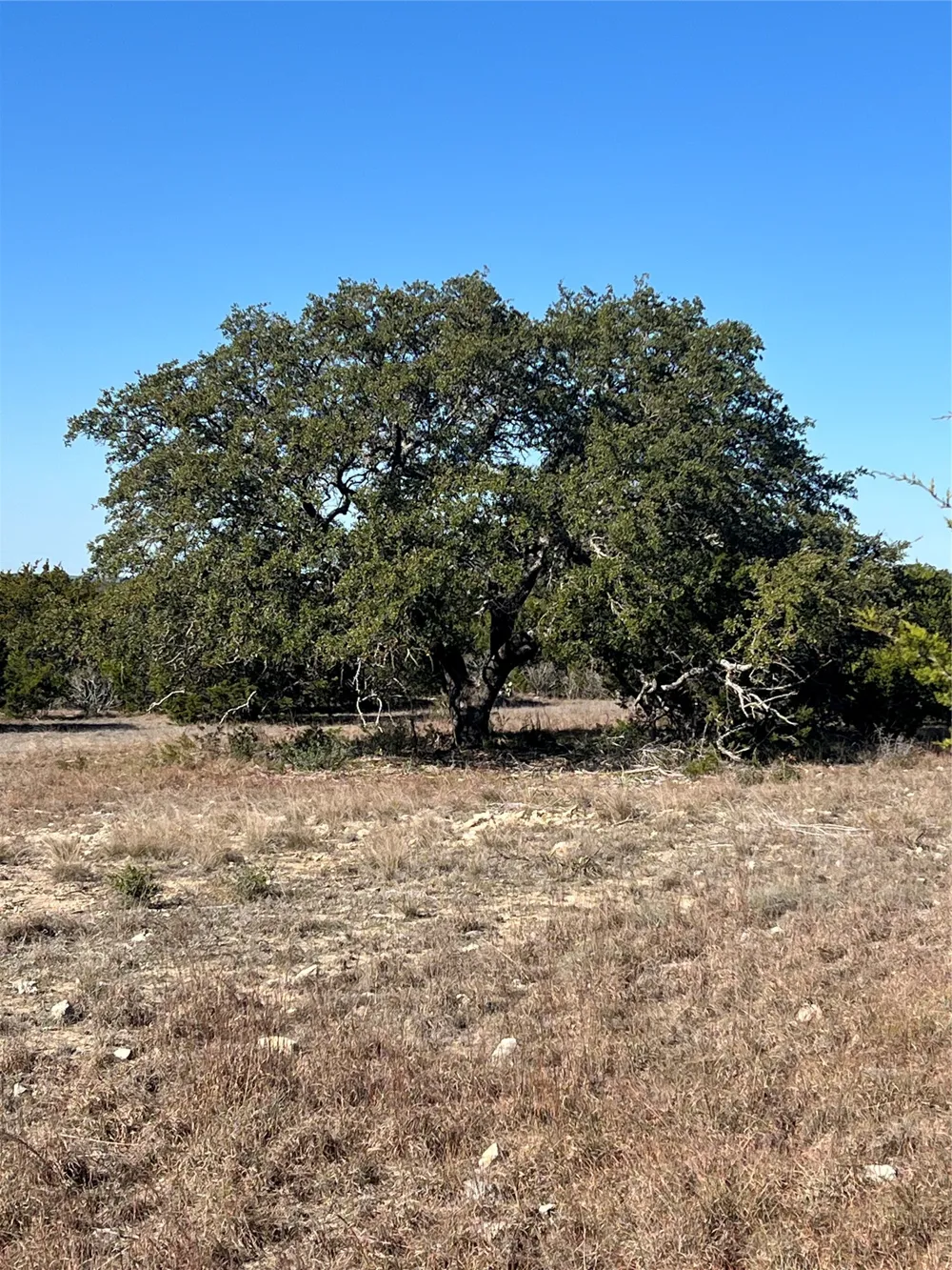 138 High Point Drive Kempner, TX 76539