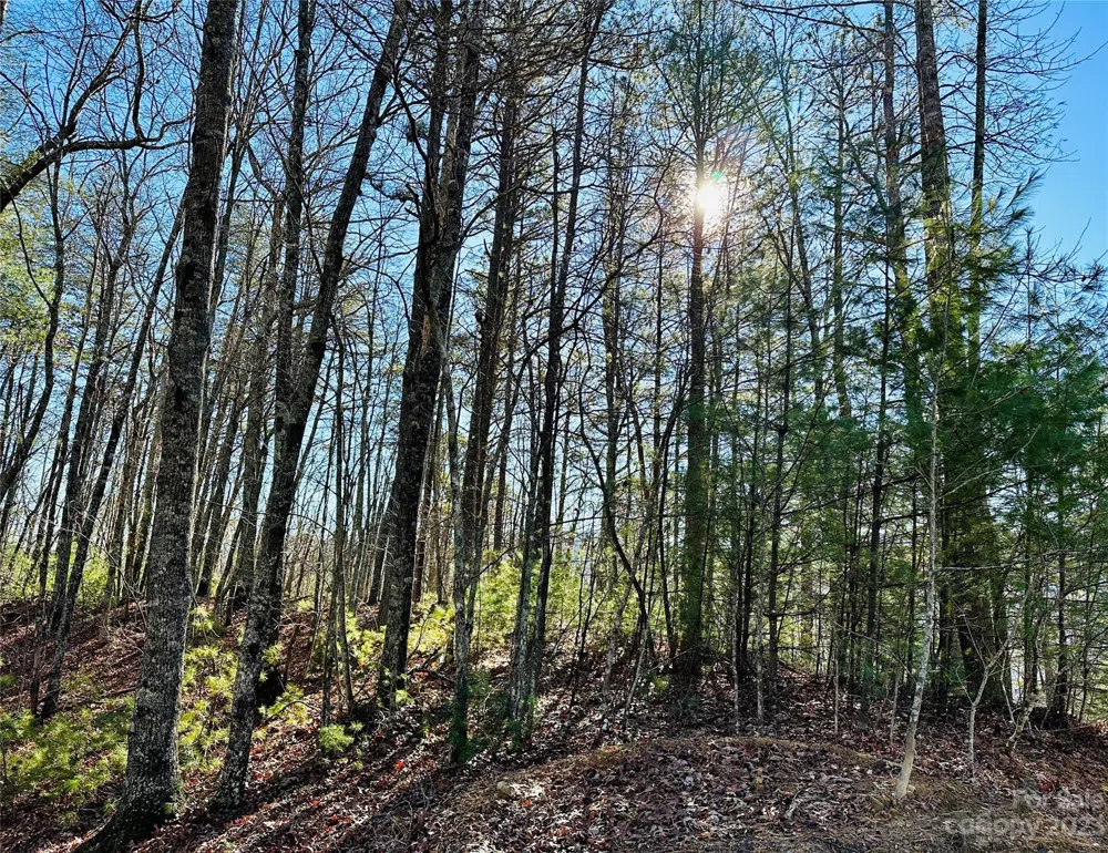 71 Turkey Trot Trail #16 Marshall, NC 28753