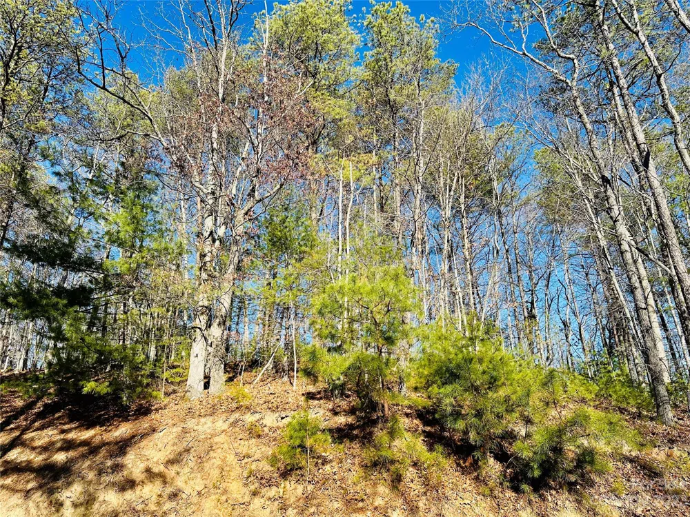 71 Turkey Trot Trail #16 Marshall, NC 28753