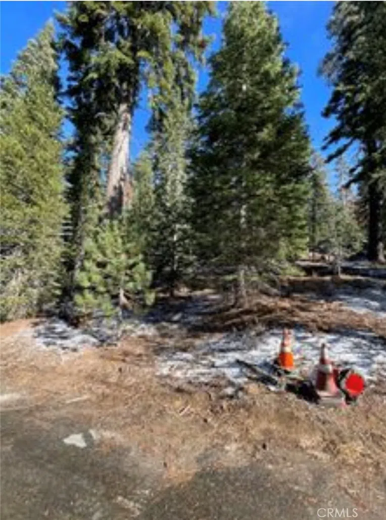 57793 Fawn Drive Springville, CA 93265