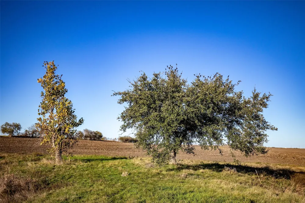 14914 Svenska Road Coupland, TX 78615