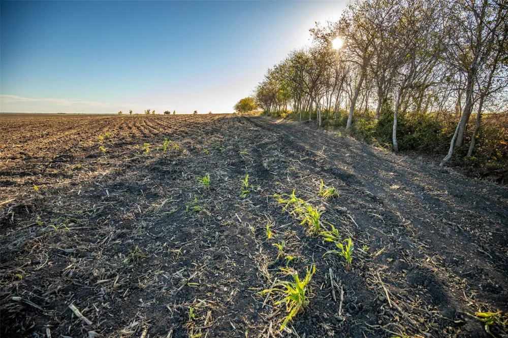 14914 Svenska Road Coupland, TX 78615
