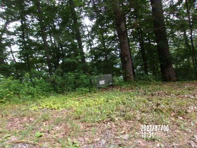 Oat Field Road Tuckasegee, NC 28783