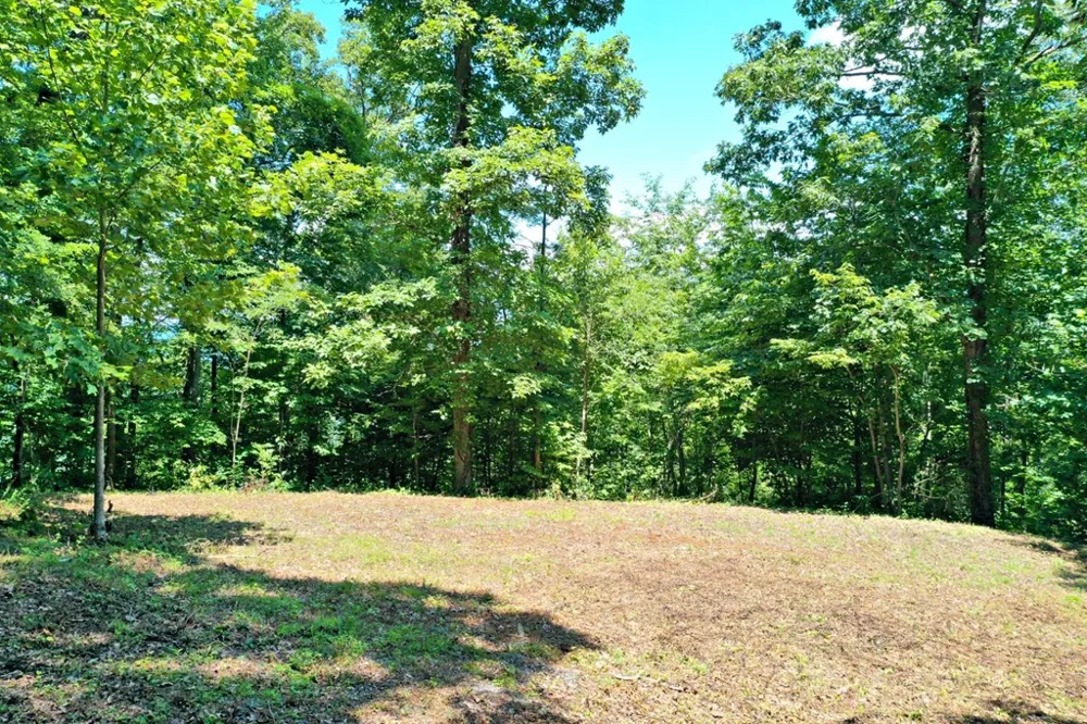 Oat Field Road Tuckasegee, NC 28783