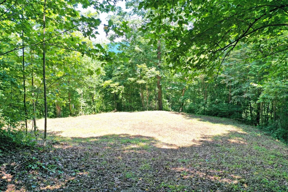 Oat Field Road Tuckasegee, NC 28783