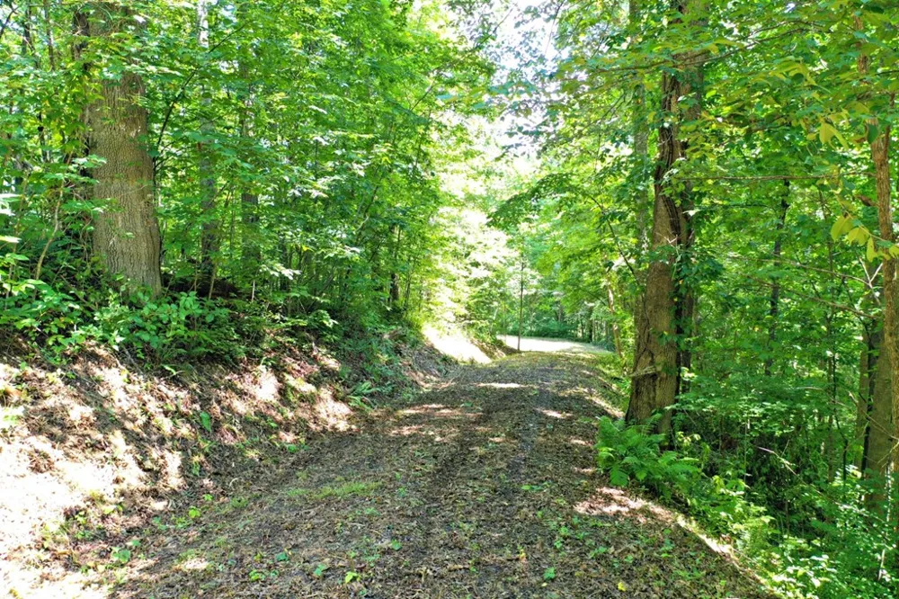 Oat Field Road Tuckasegee, NC 28783