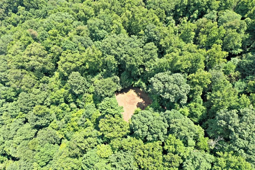 Oat Field Road Tuckasegee, NC 28783