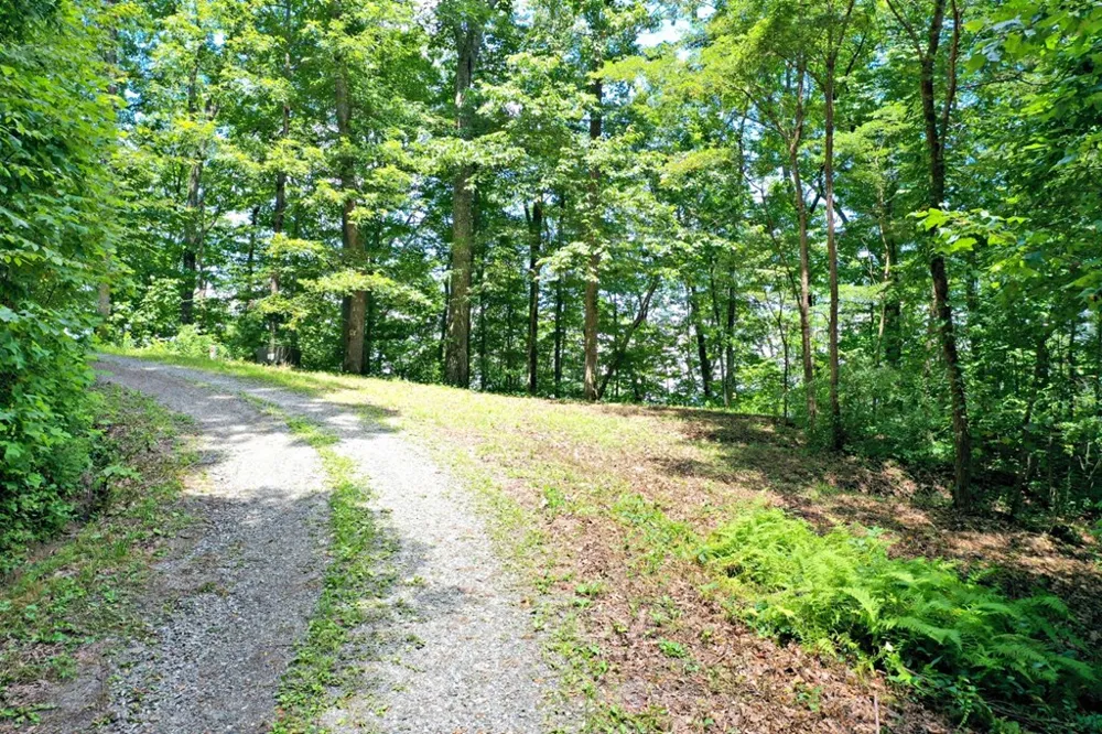 Oat Field Road Tuckasegee, NC 28783