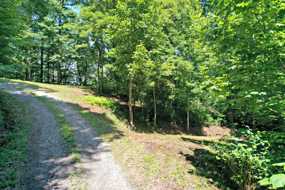 Oat Field Road Tuckasegee, NC 28783