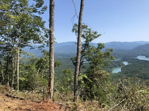 Fontana Trace
