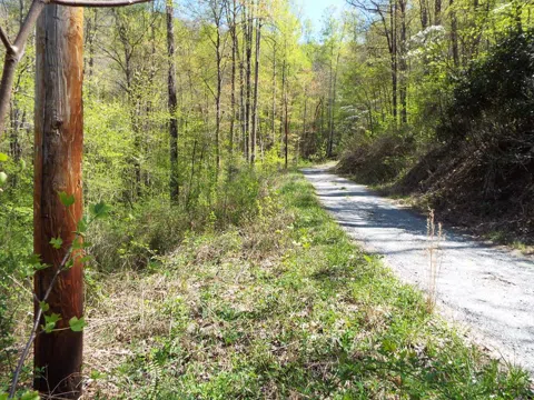 Bannick Springs Road