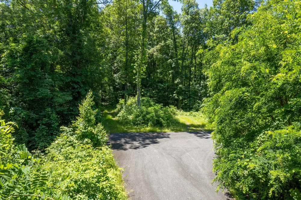 Nannyberry Lane Tuckasegee, NC 28783