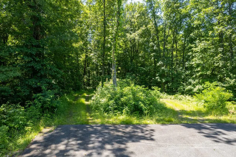 Nannyberry Lane Tuckasegee, NC 28783