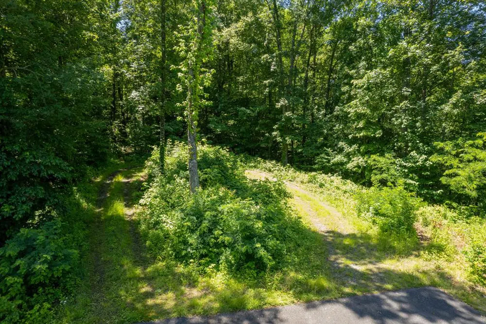 Nannyberry Lane Tuckasegee, NC 28783