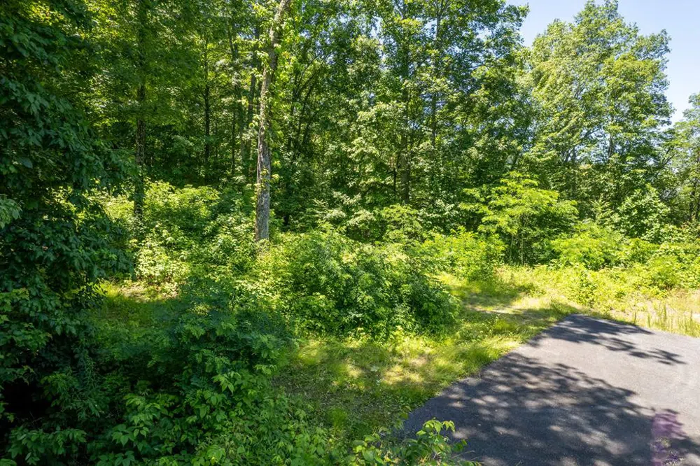Nannyberry Lane Tuckasegee, NC 28783