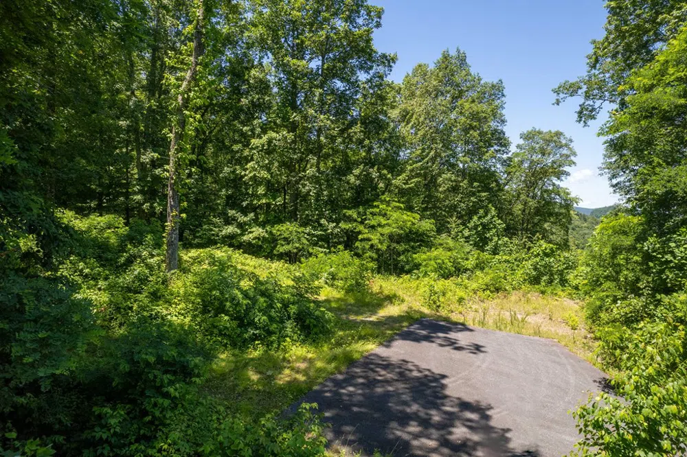 Nannyberry Lane Tuckasegee, NC 28783
