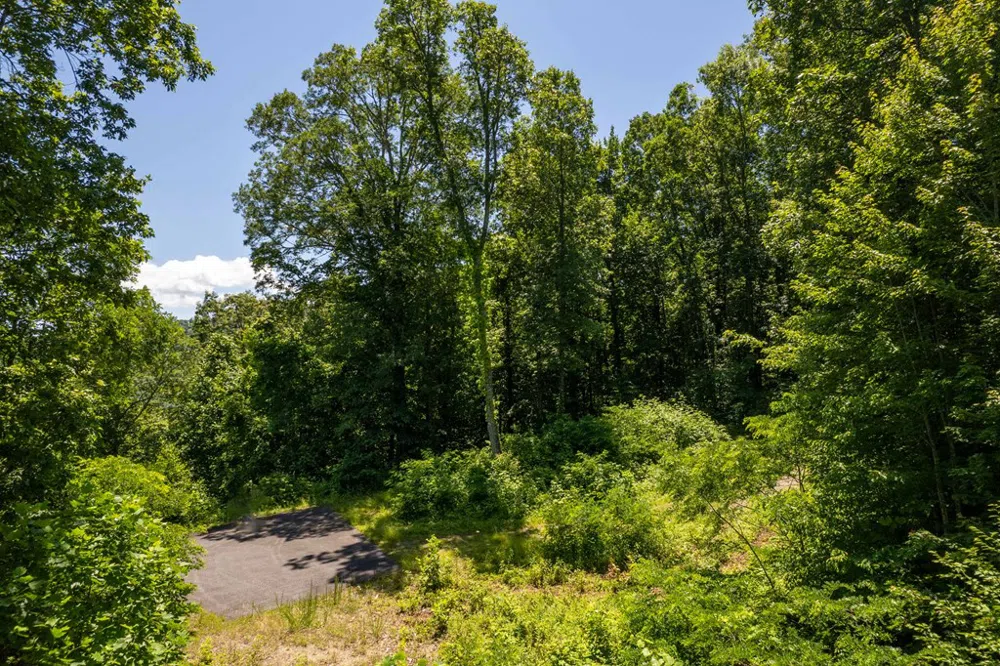 Nannyberry Lane Tuckasegee, NC 28783