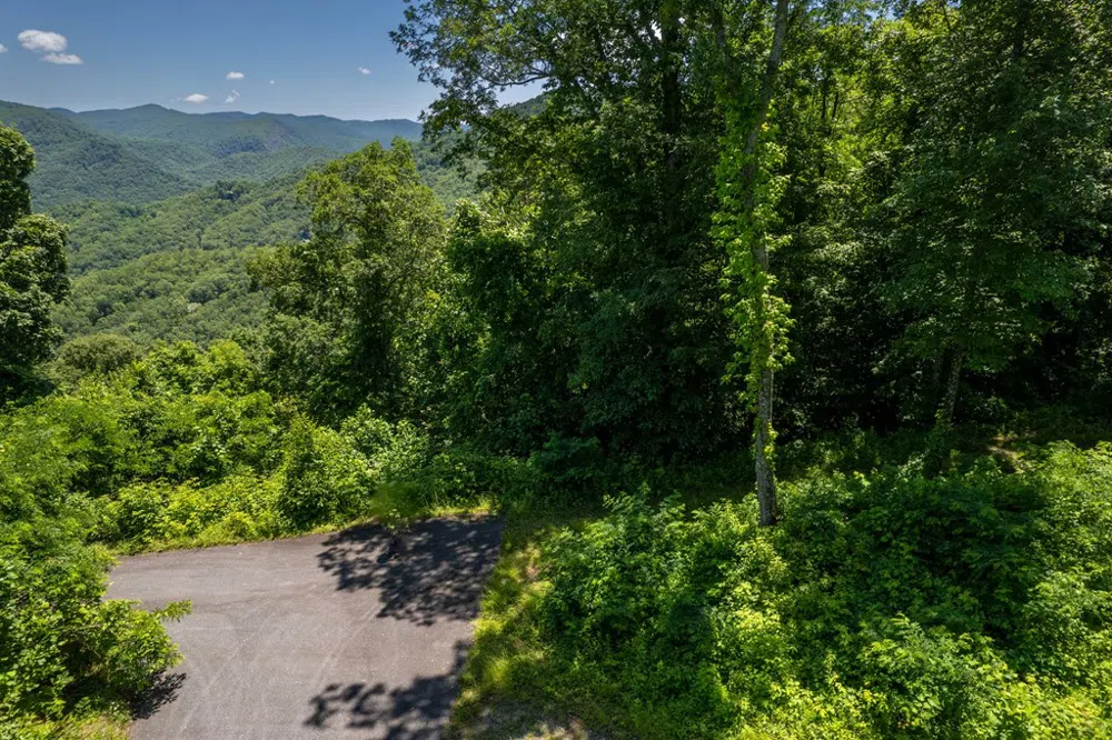 Nannyberry Lane Tuckasegee, NC 28783